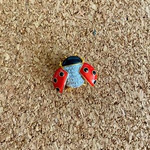 Ladybug Brooch